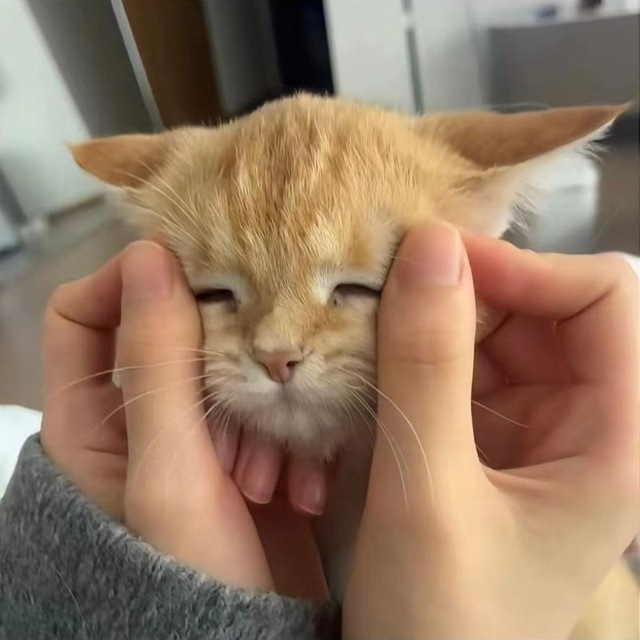 勿念怪物号